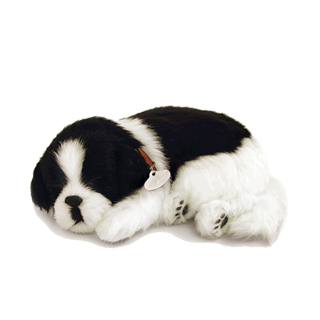 Perfect Petzzz Border Collie