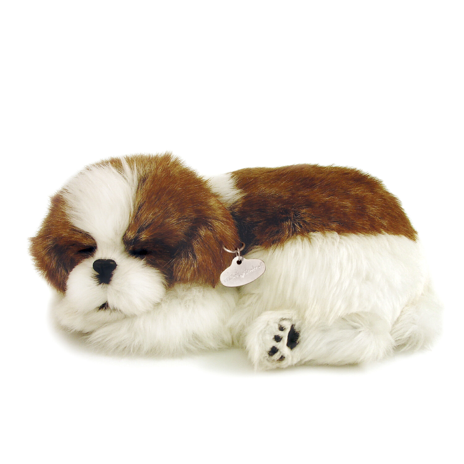 Perfect Petzzz Shih Tzu