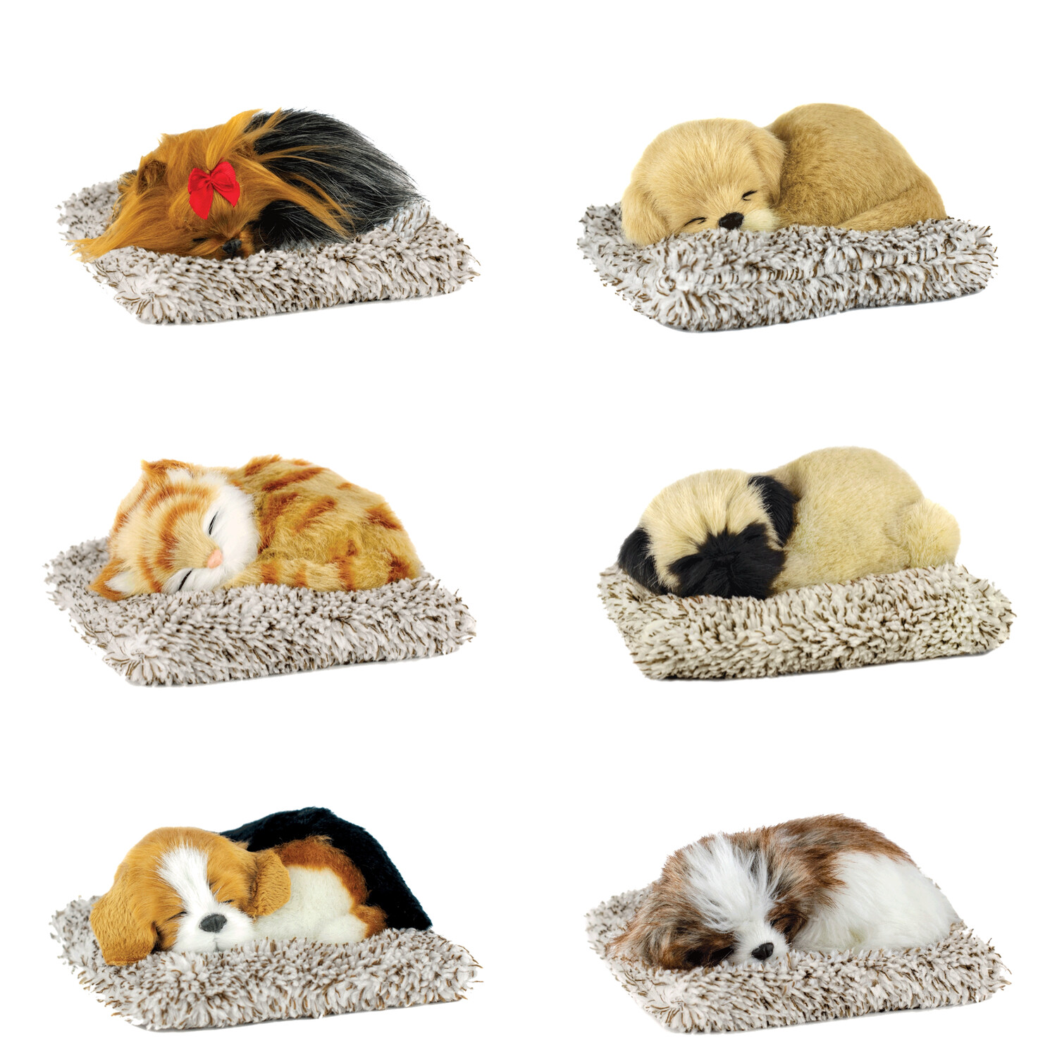 Mini Perfect Petzzz