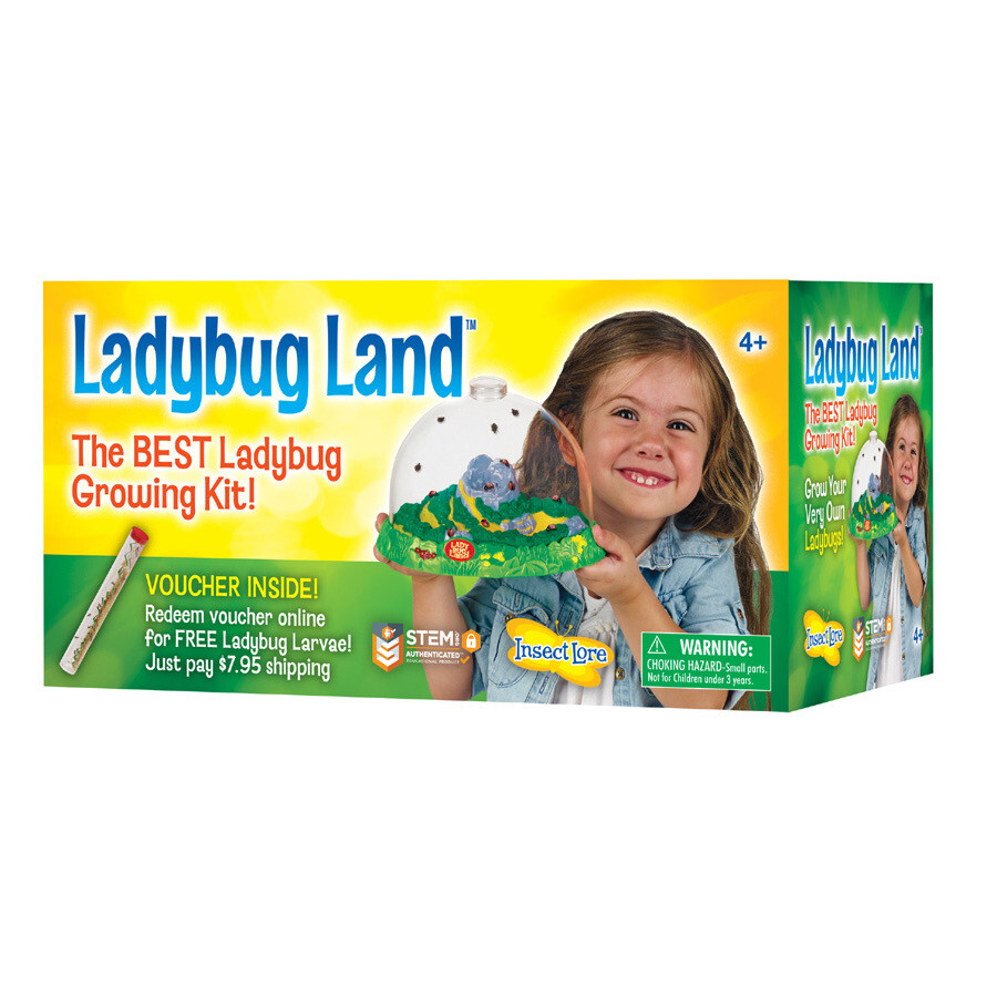 Insect Lore Ladybug Land