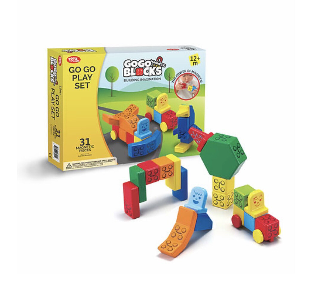 Go Go Blocks Play Set 31pc