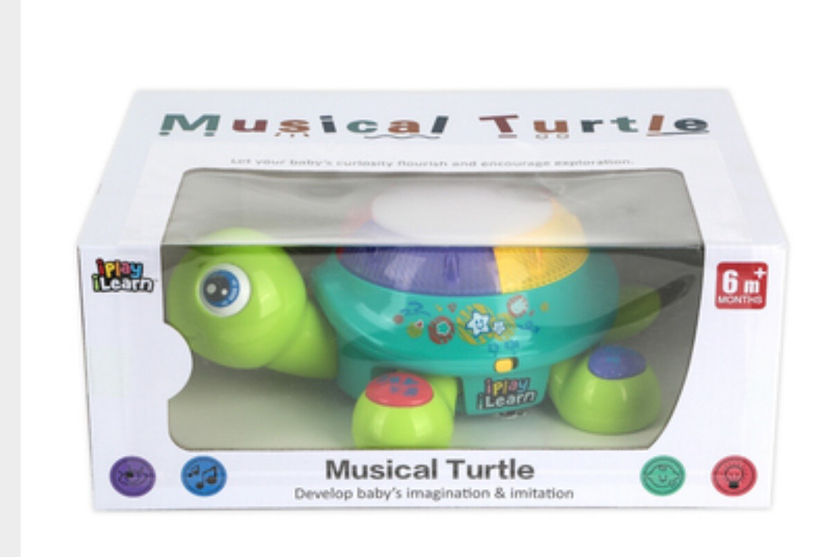 IPIL Musical Turtle