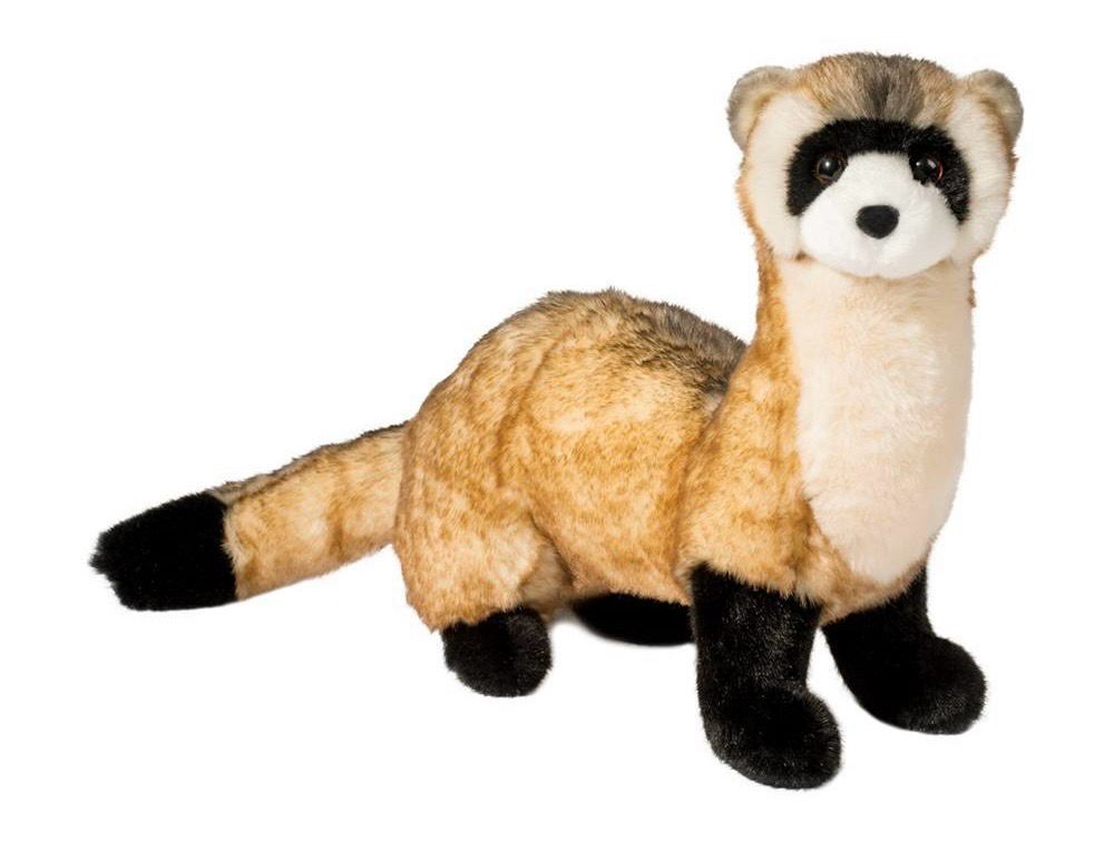 Douglas Vince Ferret