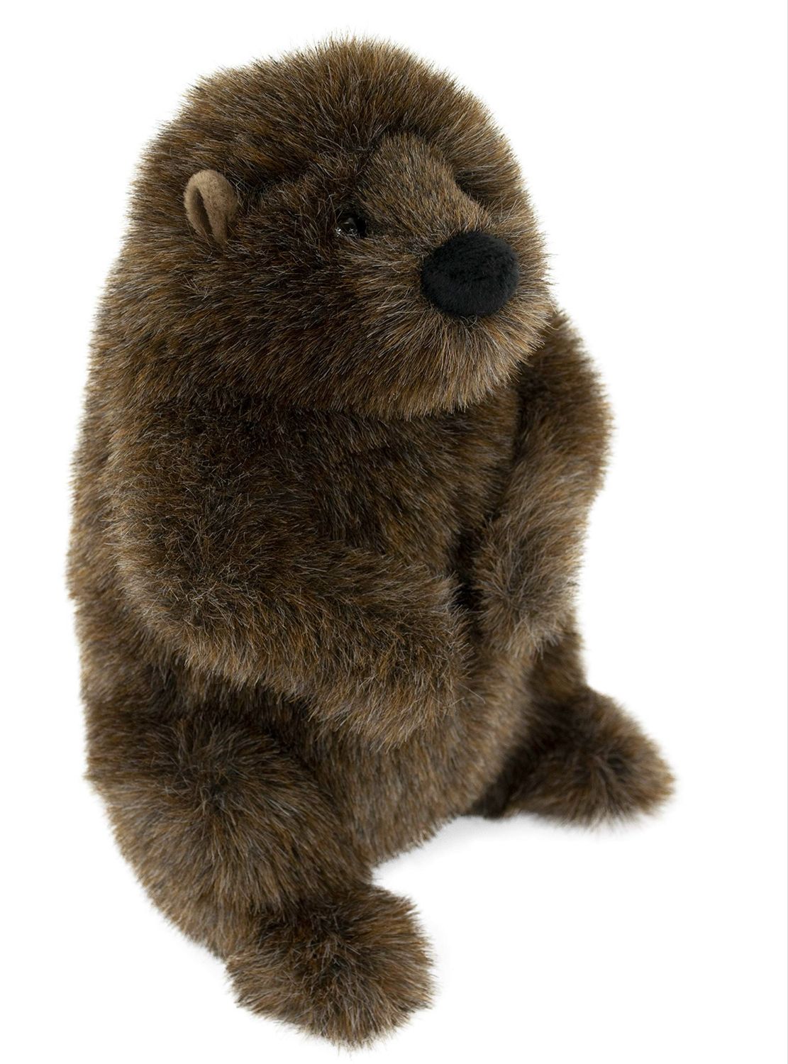 Douglas Chuckwood Ground Hog