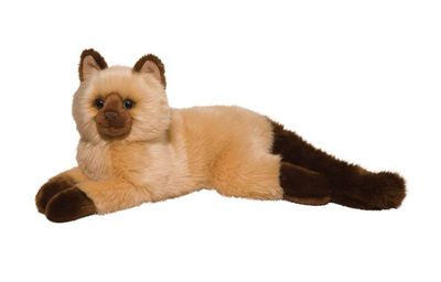 Douglas Sebastion Himalayan Cat