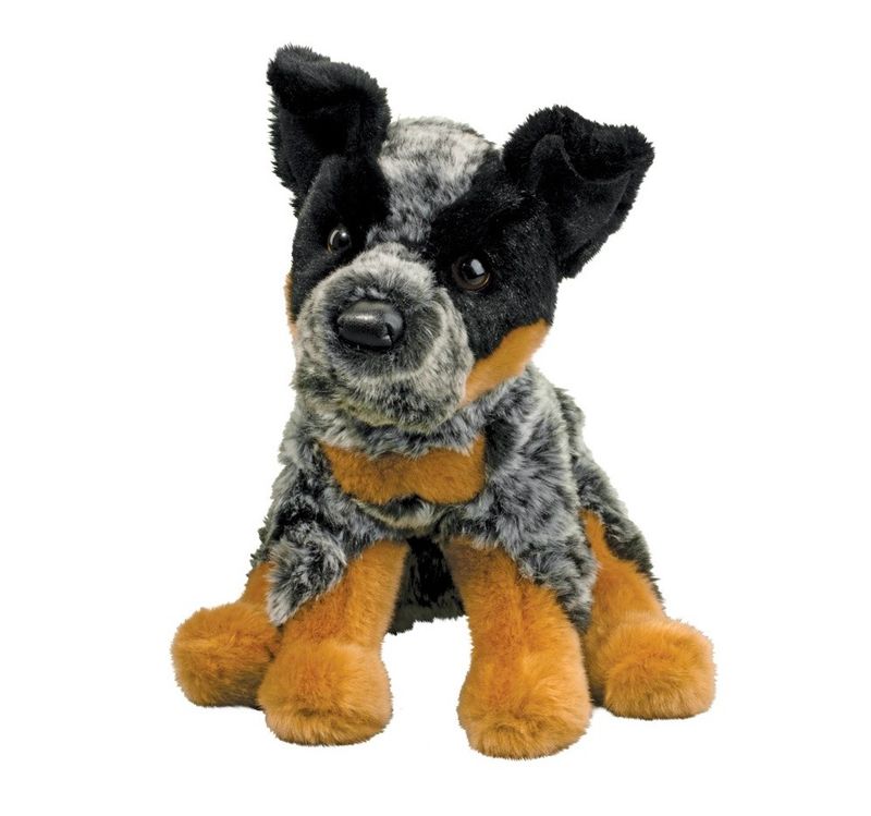 Douglas Dexter Australian Cattle Dog