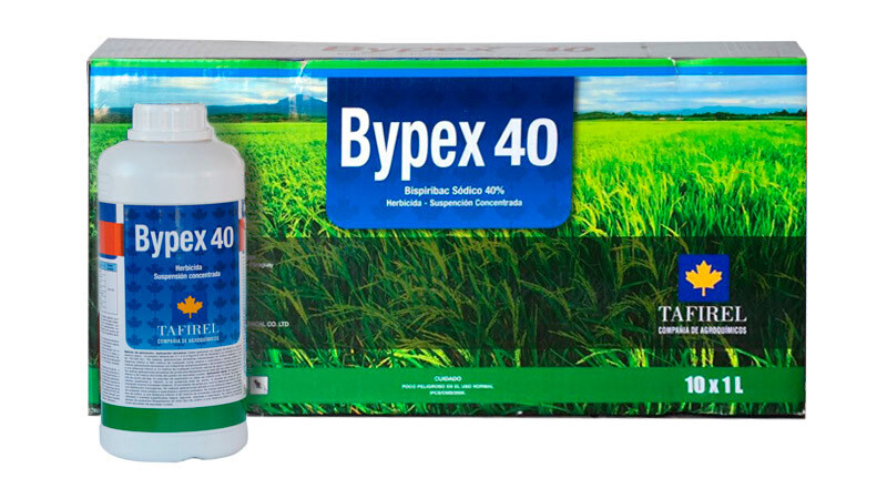Bypex 40