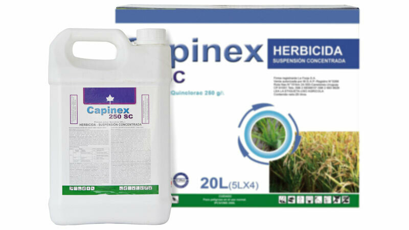 CAPINEX