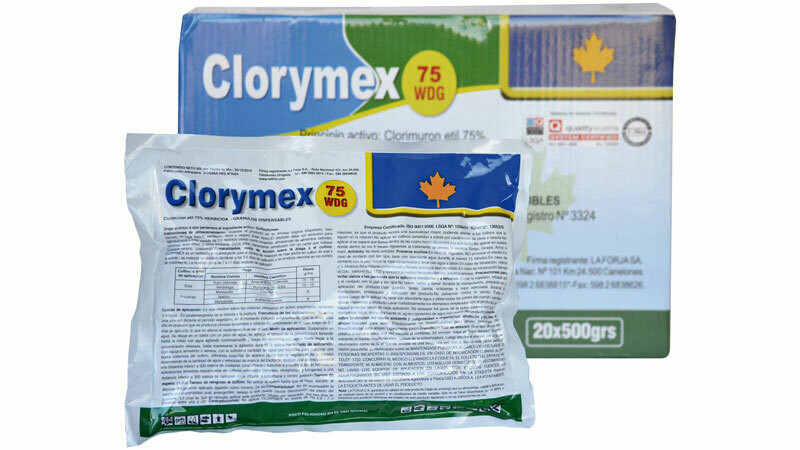 CLORYMEX