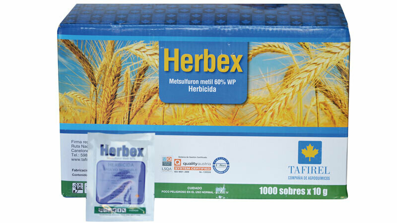 HERBEX