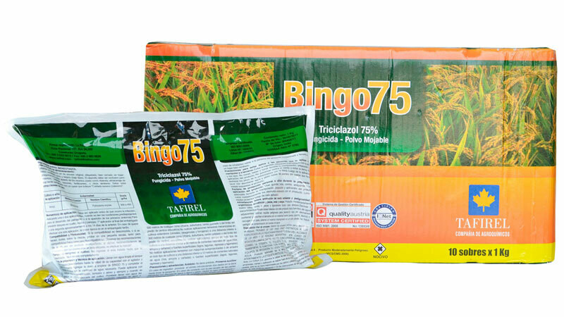 BINGO75