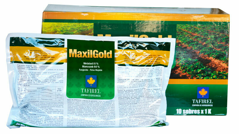 MAXILGOLD