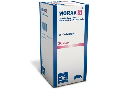 MORAK 5