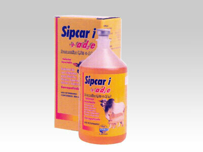 SIPCAR i