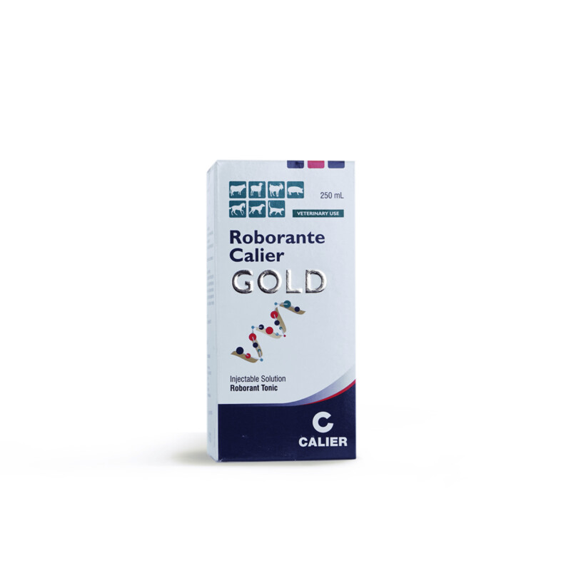 ROBORANTE CALIER GOLD