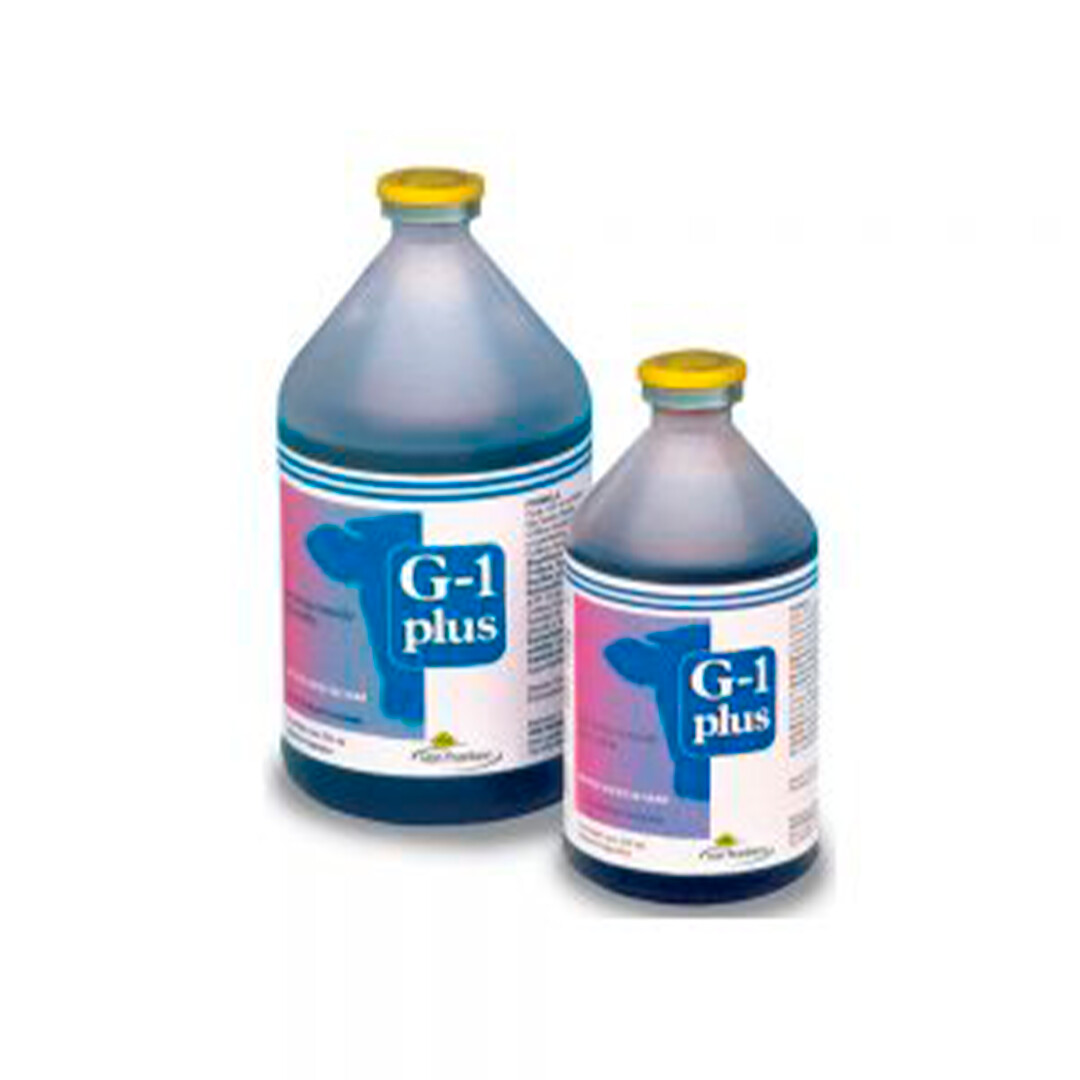 G-1 Plus
