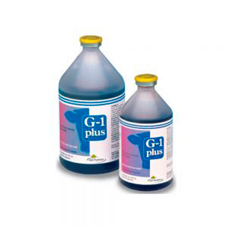 G-1 Plus