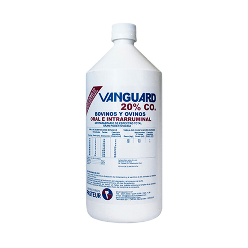 Vanguard 20%