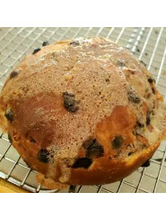 Cinnamon Chocolate Brioche or Croissant