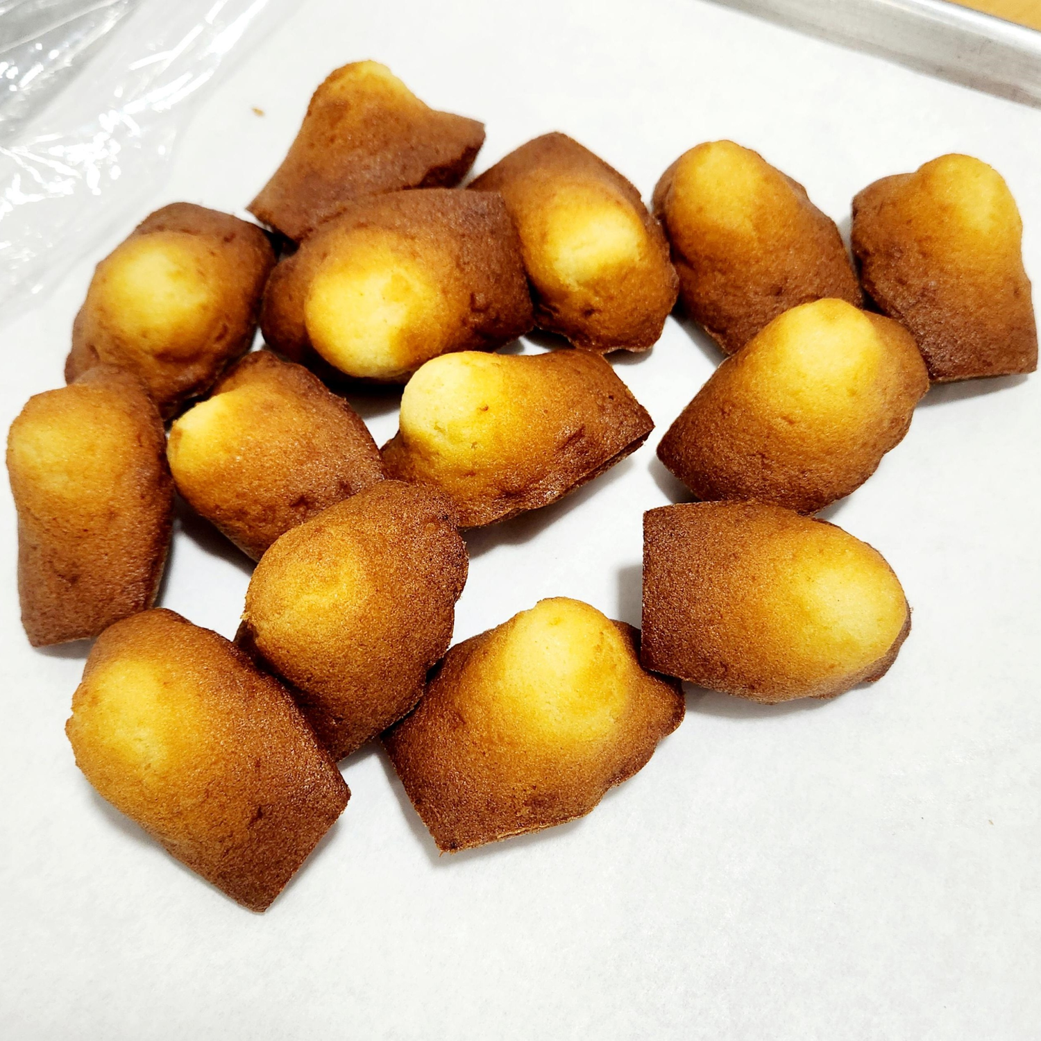 Madeleine (1 unit)