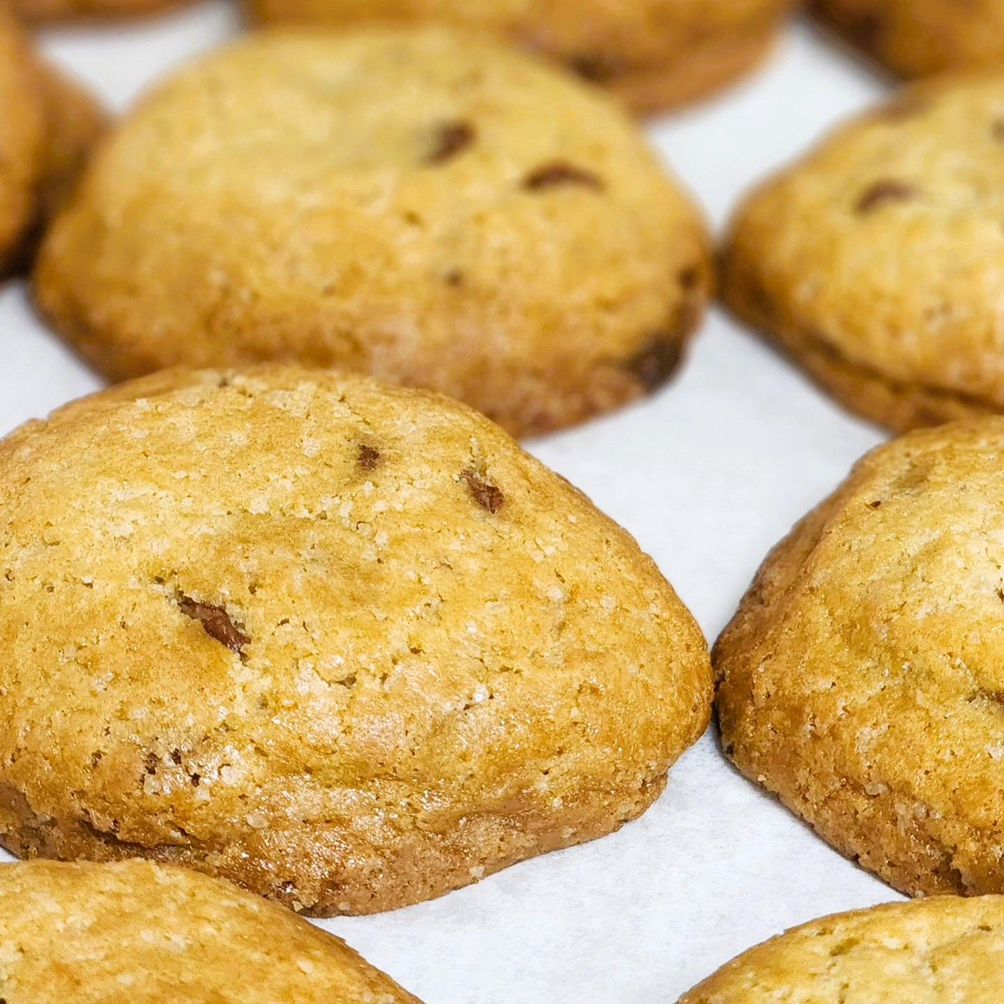 Chocolate chip cookie