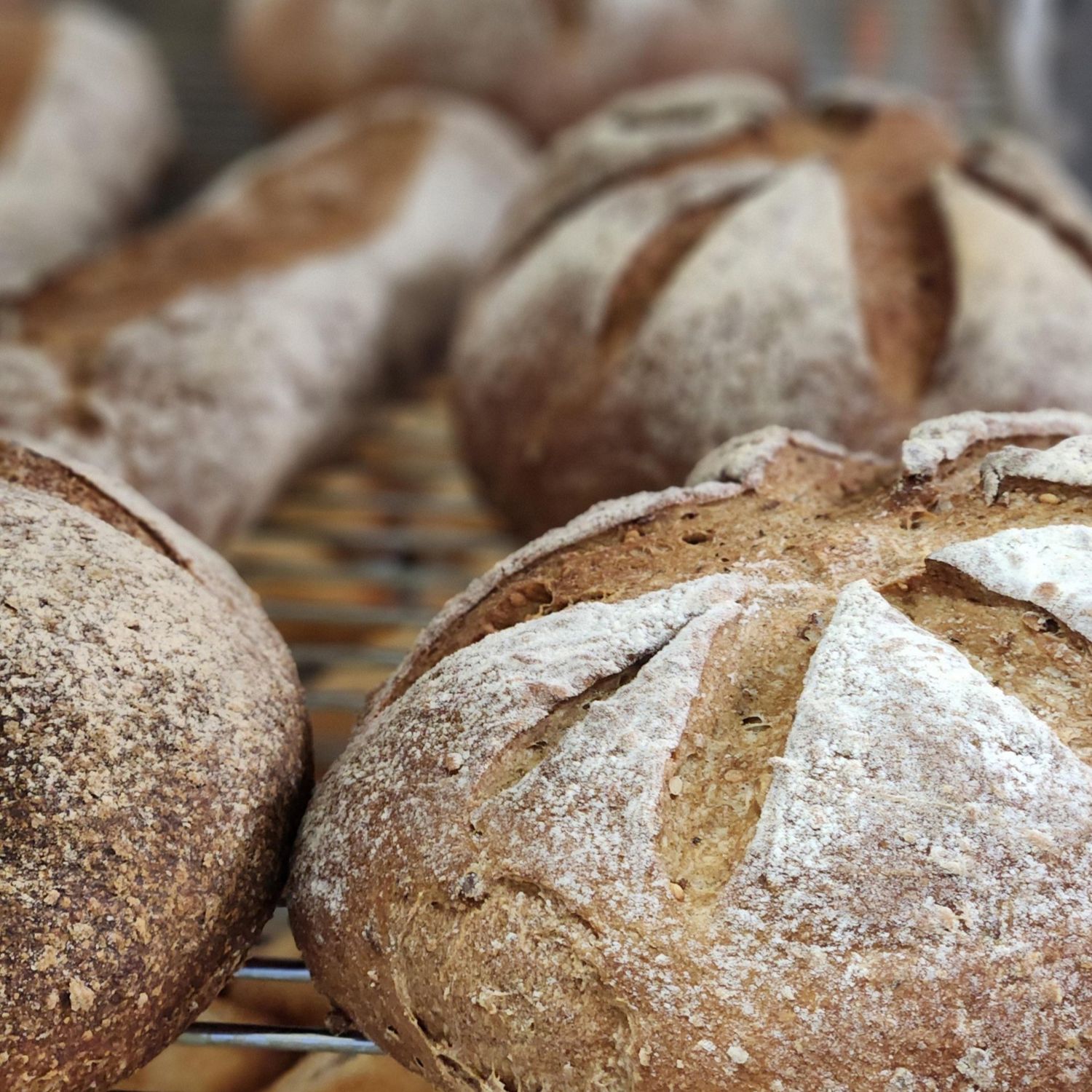 Multi grain Bread Large (Available on Week-ends only)