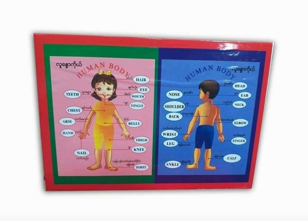 ​ဖော့ သံလိုက် စာသင်စာလုံး