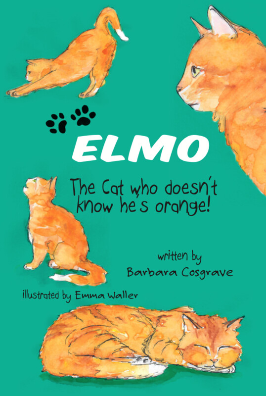 Elmo - The Cat who doesn't know he's orange!