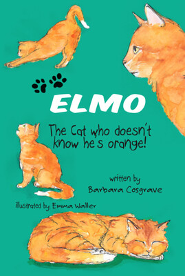 Elmo - The Cat who doesn't know he's orange!