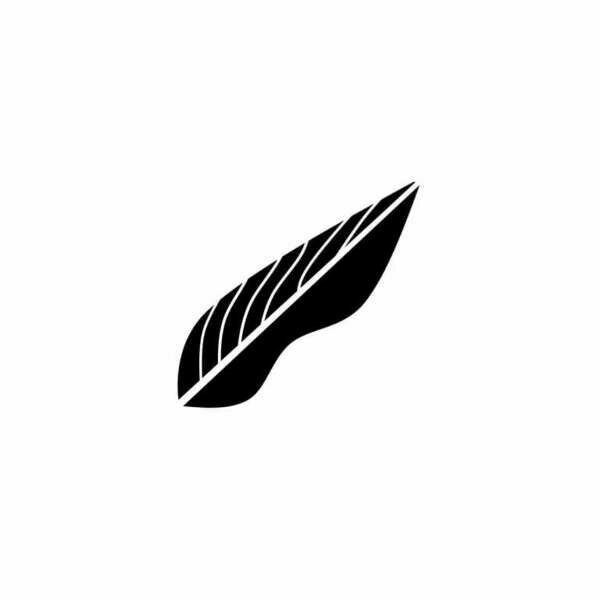 Broken Feathers