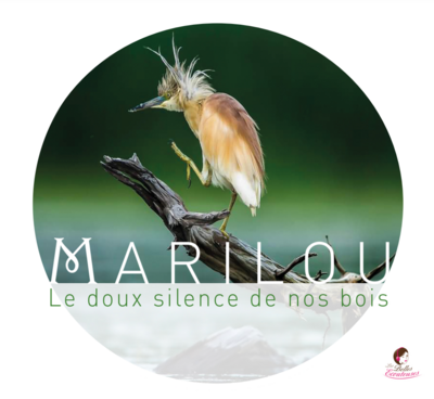 Le doux silence de nos bois | Marilou (LBE30) Edition Physique