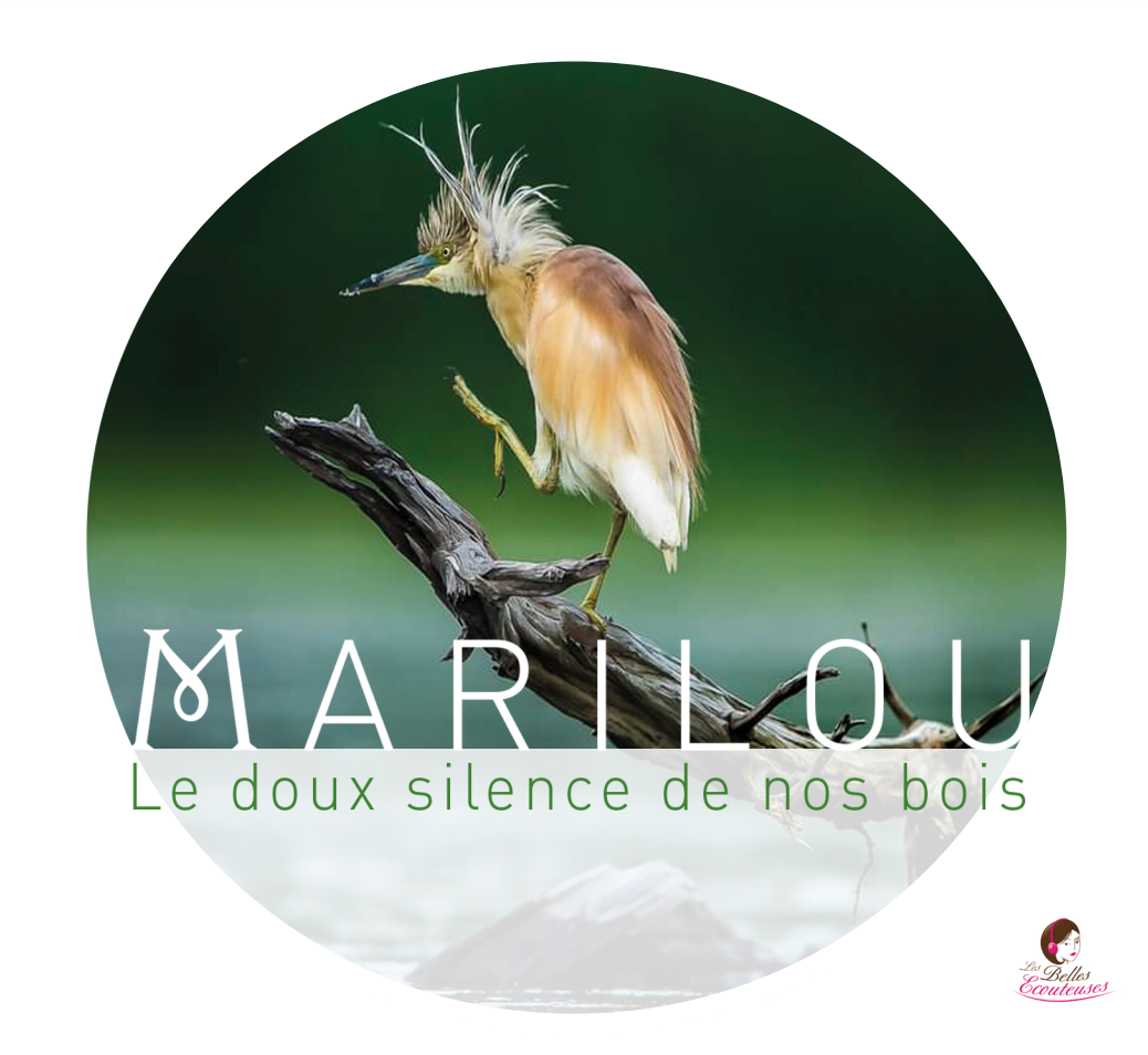 Le doux silence de nos bois | Marilou (LBE30) Digital UHD