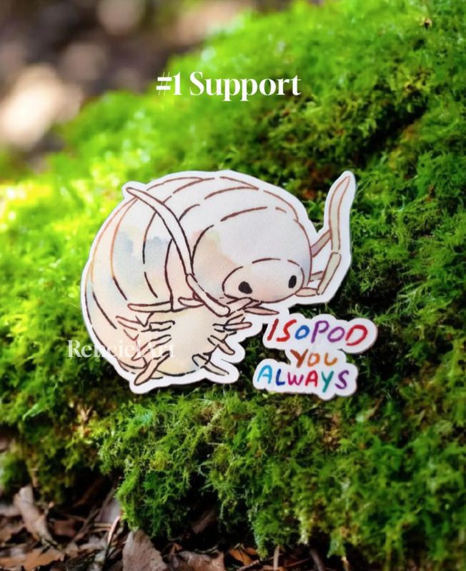 Isopods Sticker Pack: Silly wholsome quotes | Terrarium friends Bugs| Cute Decals for Laptops Water Bottles | Waterproof Decoration Gifts