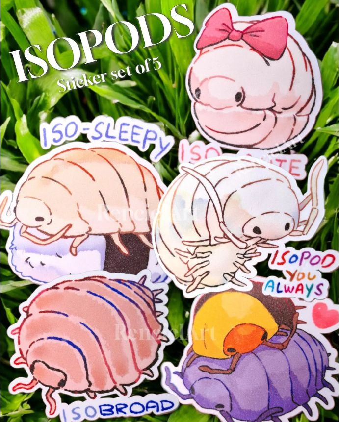 Isopods Sticker Pack: Silly wholsome quotes | Terrarium friends Bugs| Cute Decals for Laptops Water Bottles | Waterproof Decoration Gifts