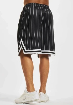 Small Signature Pinstripe Mesh Shorts Karl kani