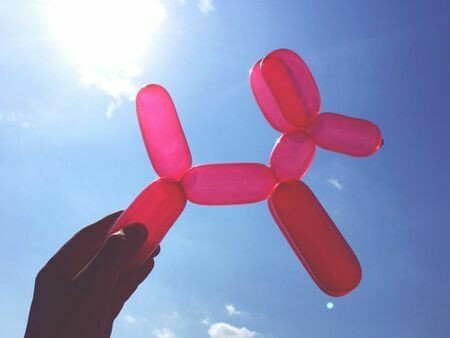 Balloon Dog