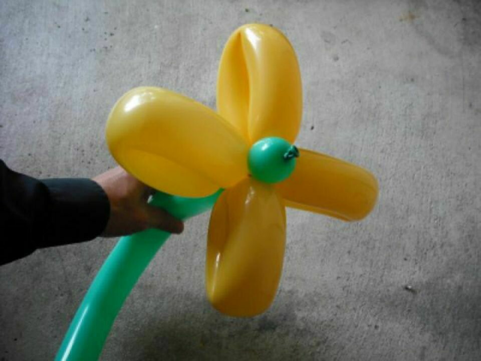 Balloon Flower