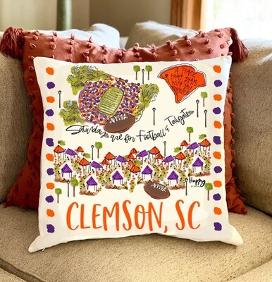 Happy By Rachel College town pillows