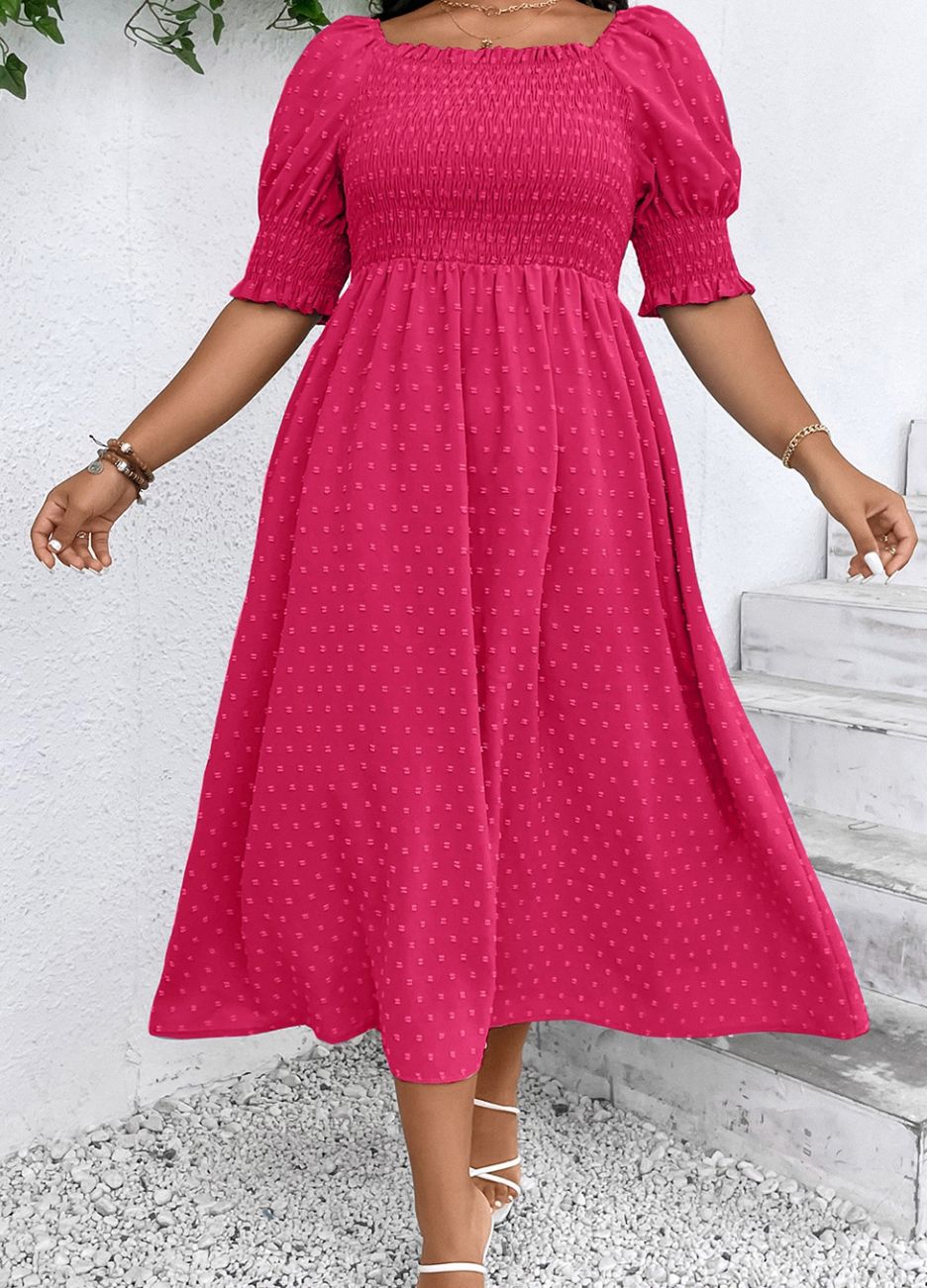 Swiss Dot Smocked Frilled Neckline Dress