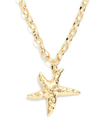 Chain Link Necklace w/Hammered Starfish pendant