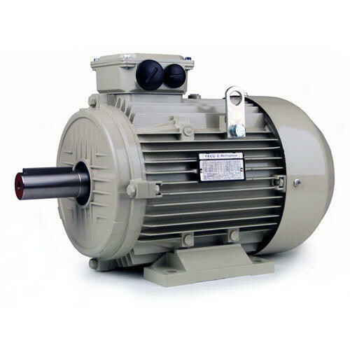 Motor 30 HP 2800-2900 RPM (E17633040)