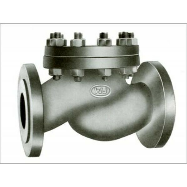 CS NRV Horizontal flanged, IBR, 25 mm (V26992525) CS NRV Horizontal flanged, IBR, 25 mm (V26992525)