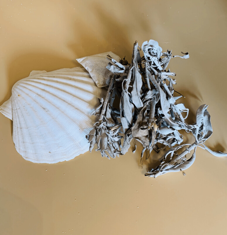 Large Sage Kit