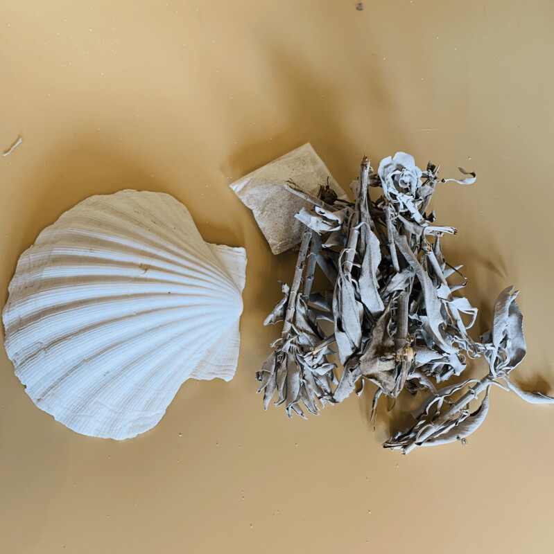 Large Sage Kit