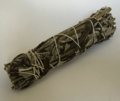 Large Black Sage (Mugwort) Bundle - 8 + inches