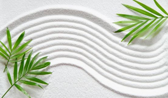 90 Minute Consultation - Gift Certificate