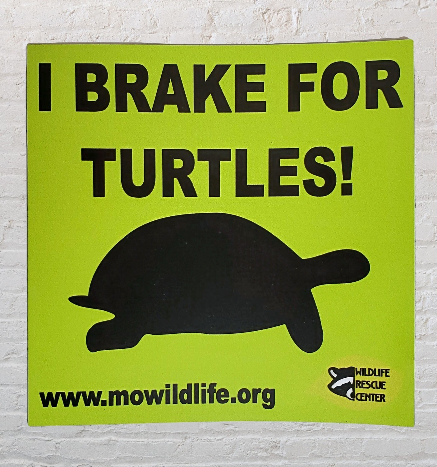 I Brake for Turtles Vinyl Sticker