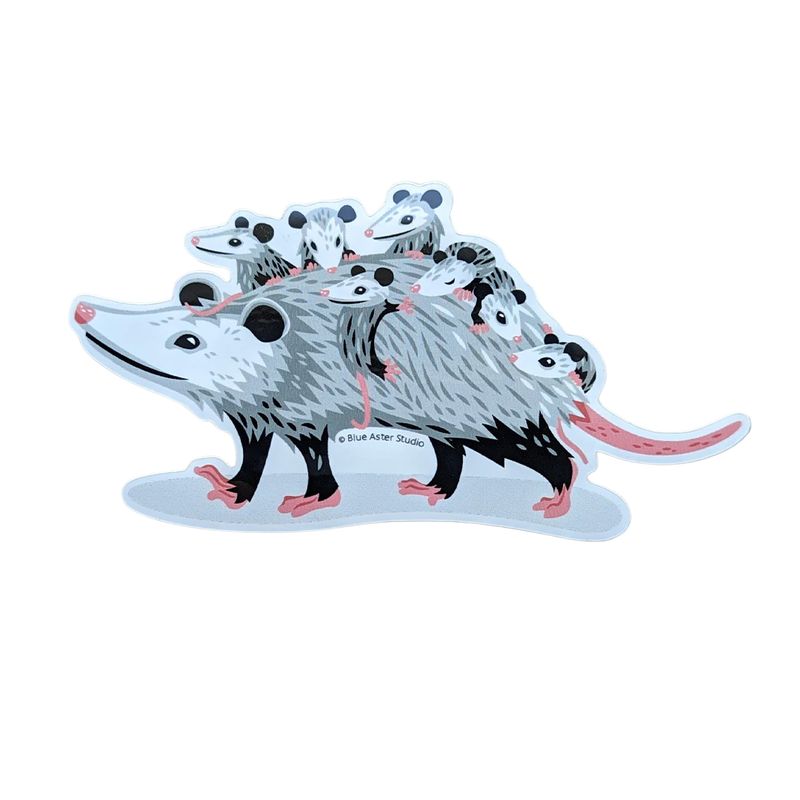 Opossum Mom &amp; Babies Sticker