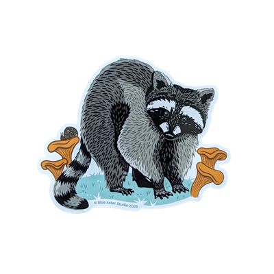 Raccoon &amp; Mushroom Sticker