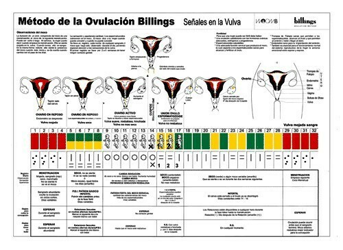 Láminas de pared. M.O.Billings®. Señales en la Vulva